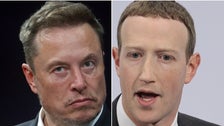 Elon Musk Might Fight Mark Zuckerberg For Real