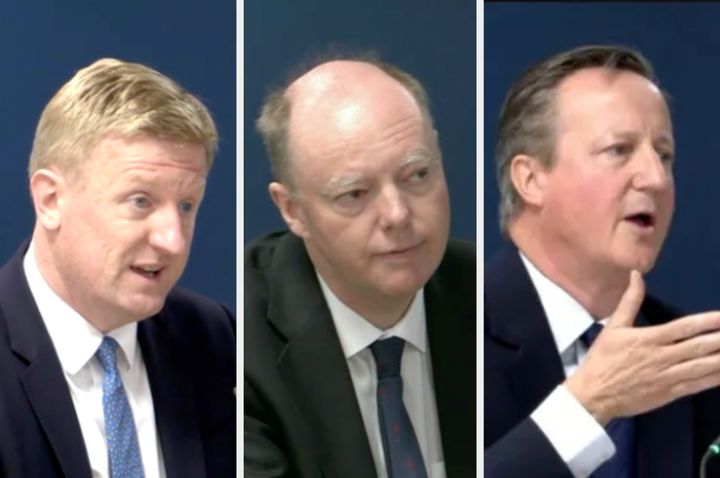 Oliver Dowden, Chris Whitty and David Cameron all gave evidence to the Covid Inquiry