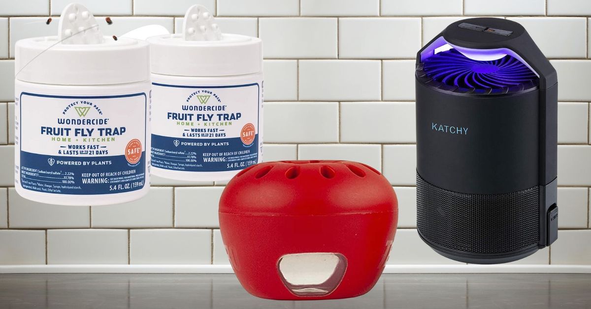 3 Genius, Foolproof Fly Traps to Make at Home