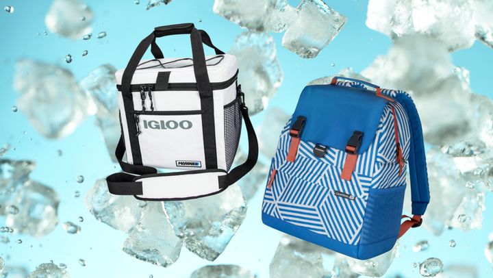 Cooler bags from Igloo and CleverMade