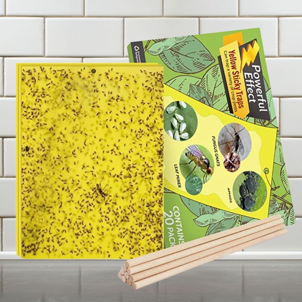 Insect-proof, Yellow Fly Strips Indoor Sticky Hanging, Fly Strips