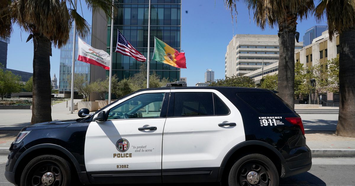 Police In California Aren't Immune From Certain Misconduct Lawsuits, High Court Rules