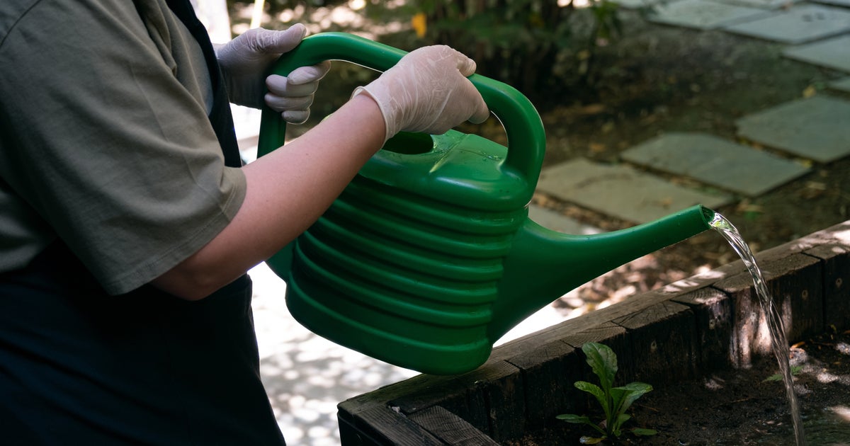 How To Water Your Garden In A Hosepipe Ban HuffPost UK Life