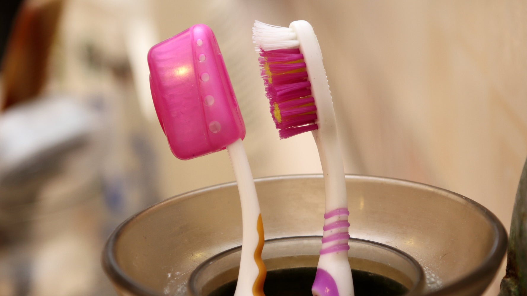 Cleanies daily top dental toothbrush treats