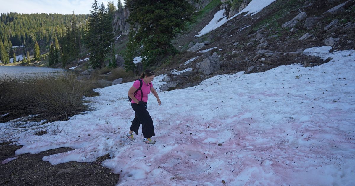 ‘Utah’s Latest Obsession: Watermelon Snow’