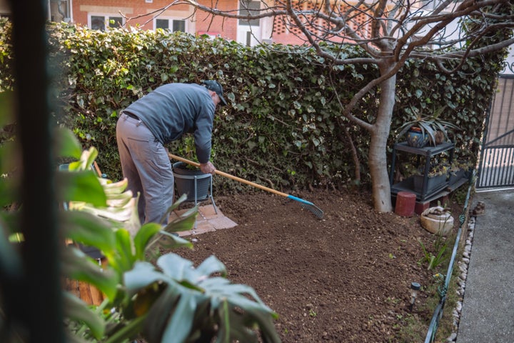 Senior man using a garden rake to scrape leaves that will later be collected and used as a compost