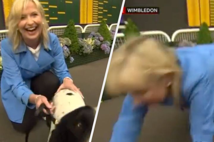 Carol Kirkwood gets pulled over by a dog on BBC Breakfast