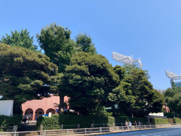 樹木に囲まれた神宮球場