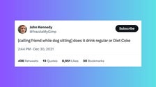 35 Funny Tweets About Pet-Sitting