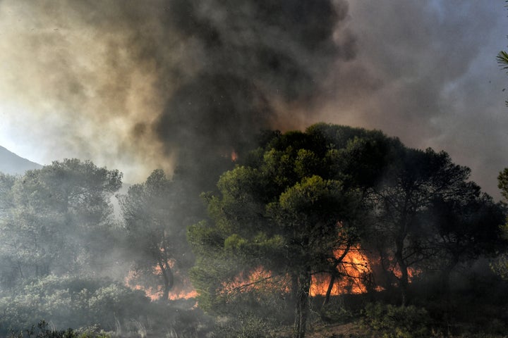 ΦΩΤΙΑ ΣΕ ΔΑΣΙΚΗ ΕΚΤΑΣΗ ΣΤΗ ΚΑΛΛΙΘΕΑ ΛΟΥΤΡΑΚΙΟΥ (EUROKINISSI/ ΣΥΝΕΡΓΑΤΗΣ)