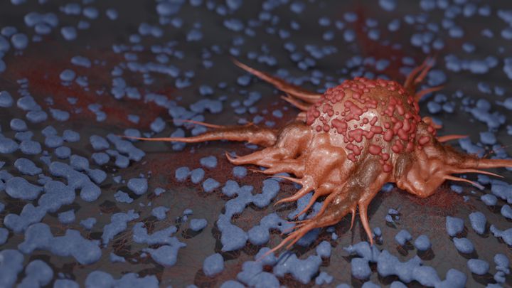 Καρκινικά κύτταρα (εικόνα 3D)