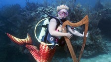 Underwater Music Show Spotlights Coral Reef Protection