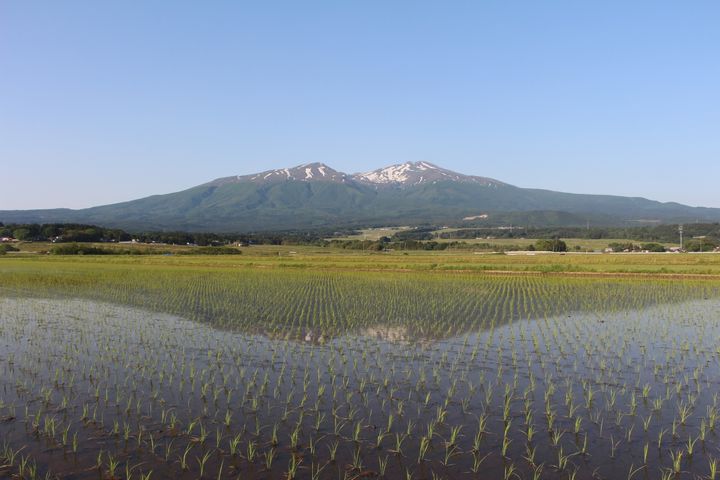 鳥海山は、庄内地域のシンボル的存在。