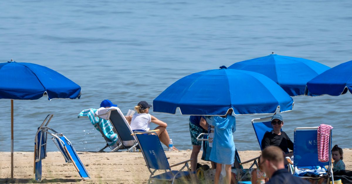 Jesse Watters Body-Shames Shirtless ‘Corpse’ Joe Biden On The Beach