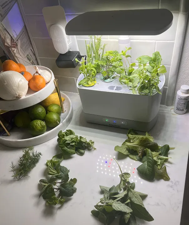 The AeroGarden Harvest Is 70 Off For Prime Day So It s Time To