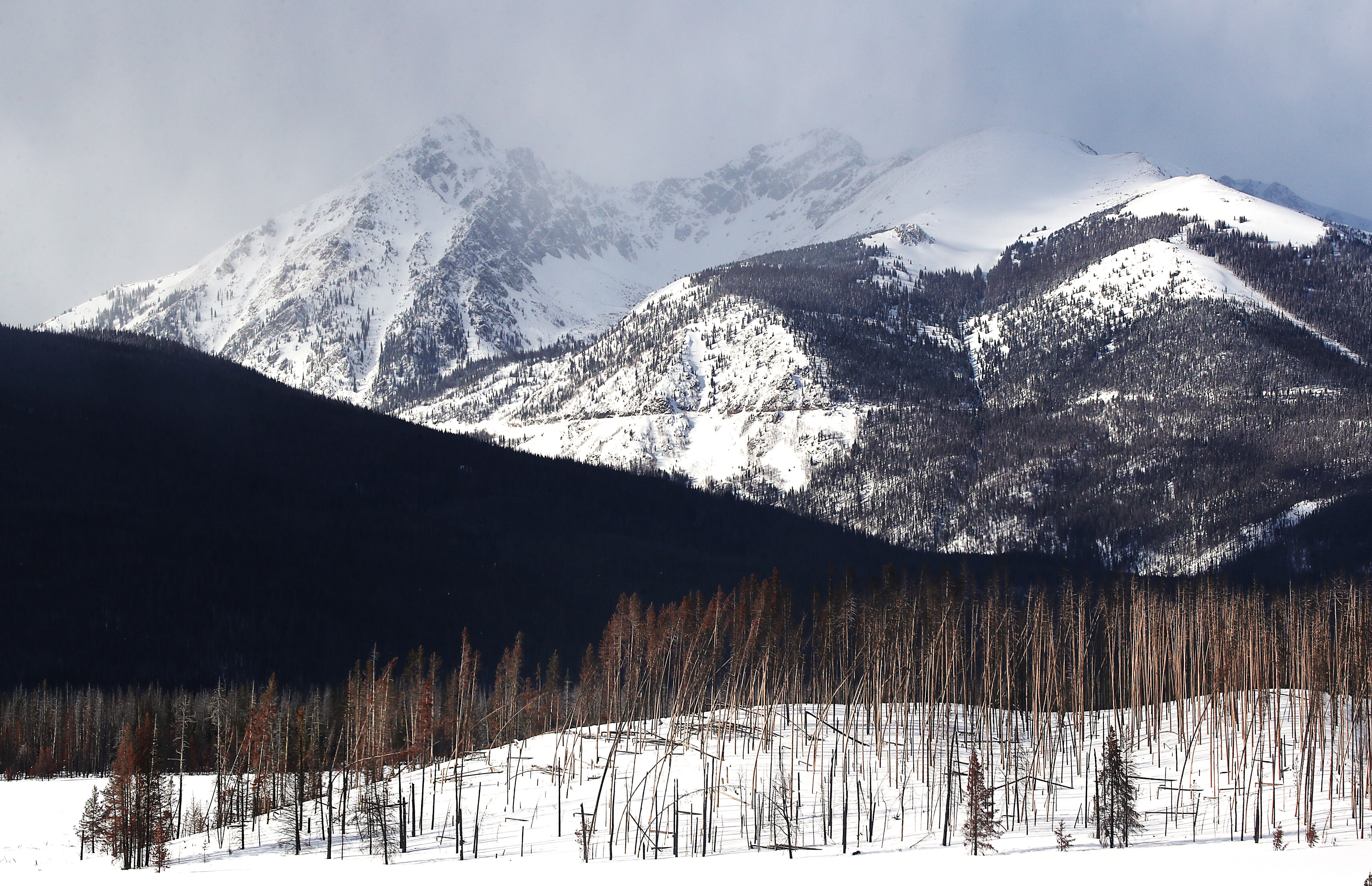 Free Solo Climber Falls 500 Feet To Her Death At Colorado's Rocky ...