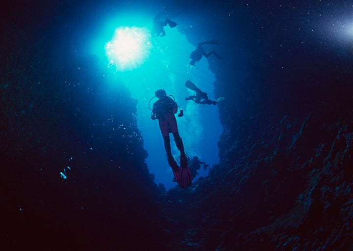 Penyelam ini jelas tidak mengidap thalassophobia.