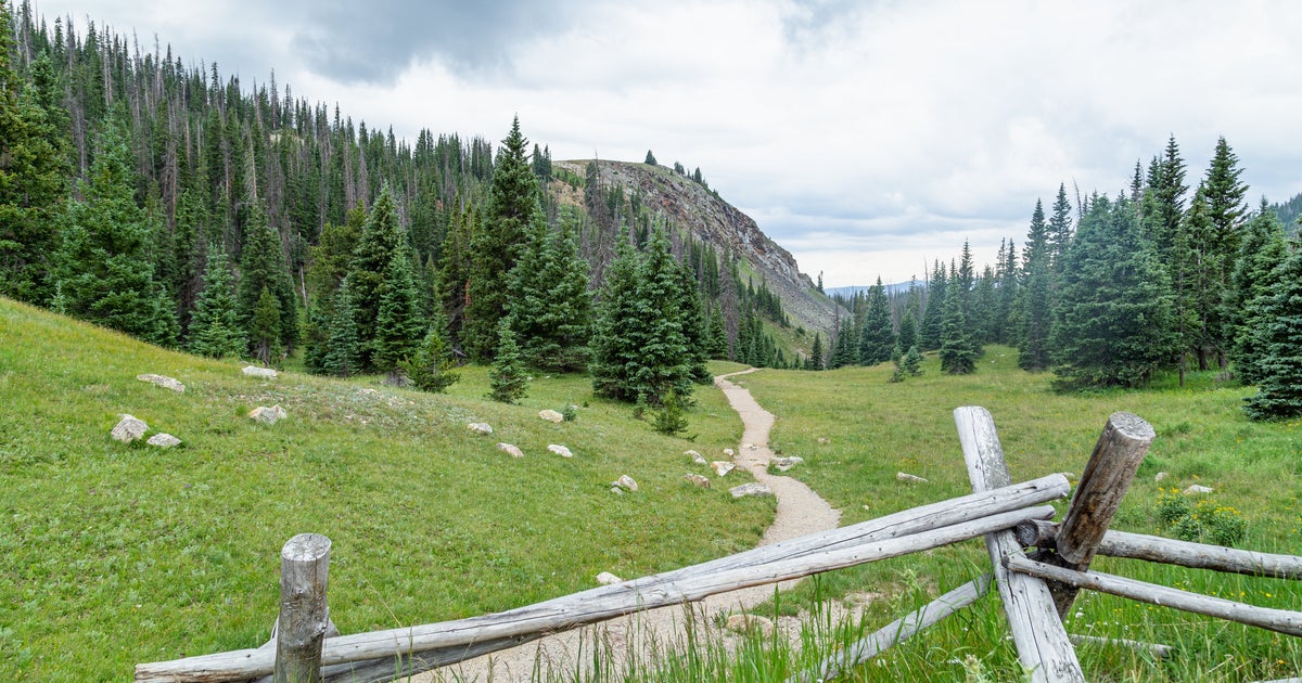 3 ‘Fairly Mummified’ Bodies Found In Remote Rocky Mountains Campsite