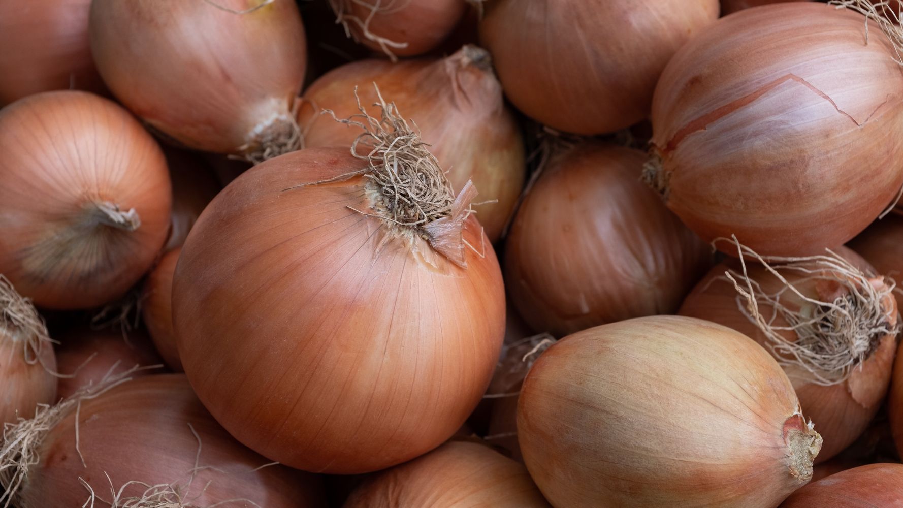 Are You Storing Onions the Wrong Way? Learn How to Store Every