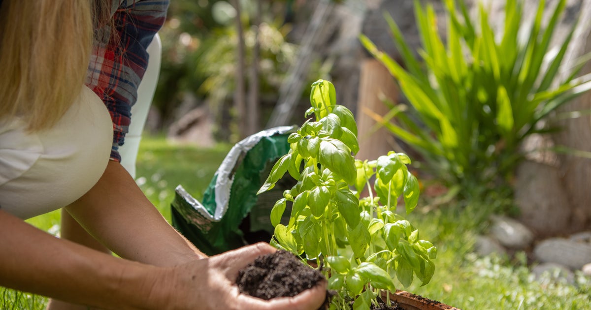 UK Gardeners Warned Over Mistakes That Can Cost £12k In Fines - Vimarsana News