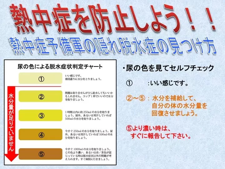 尿の色を見てセルフチェックする方法