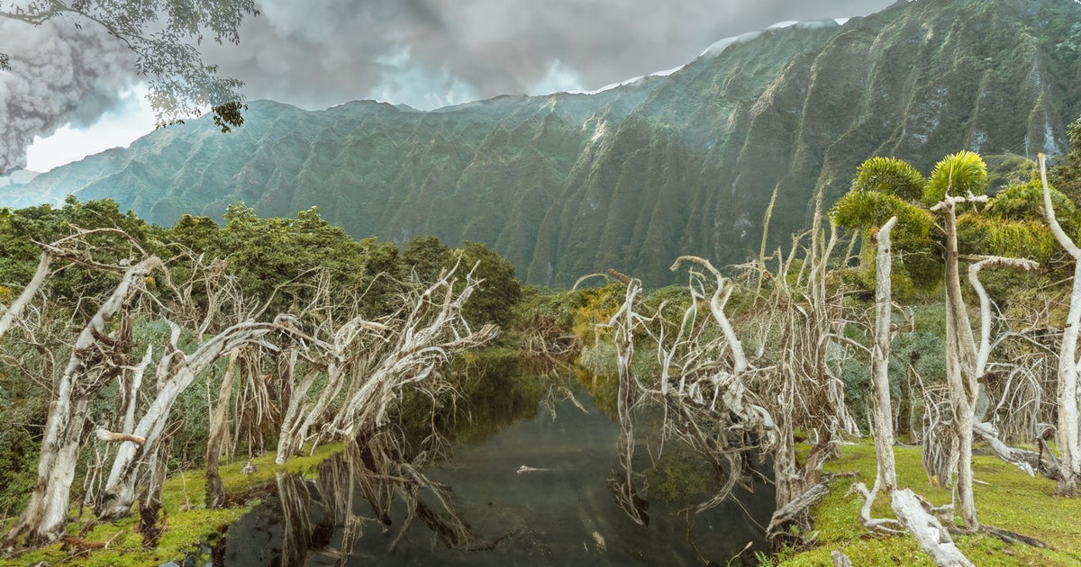 What The World’s Most Famous Attractions Will Look Like In 2050