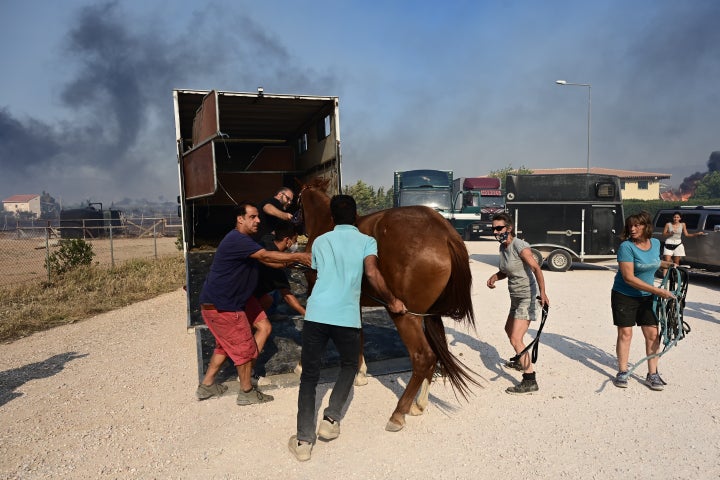 Πυρκαγιά στον Νέο Κουβαρά Αττικής, Δευτέρα 17 Ιουλίου 2023. Για την κατάσβεσή της επιχείρησαν 30 πυροσβέστες με 14 οχήματα, 2 αεροσκάφη και 4 ελικόπτερα. (ΜΙΧΑΛΗΣ ΚΑΡΑΓΙΑΝΝΗΣ/EUROKINISSI)