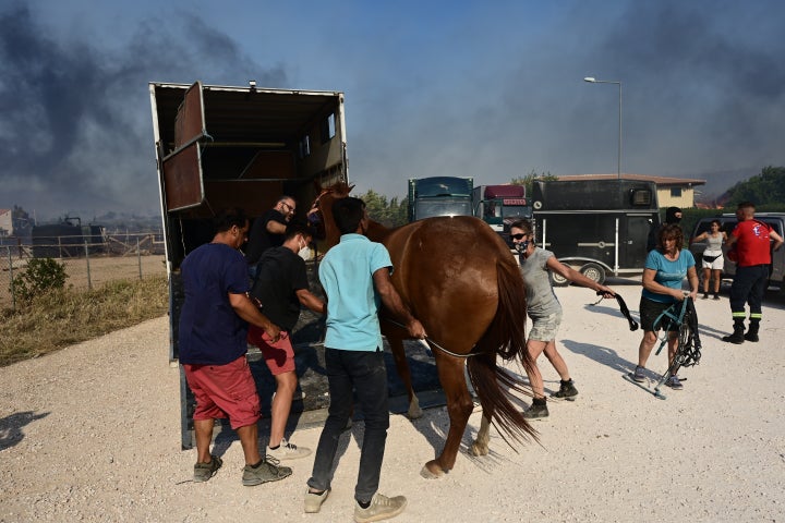 Πυρκαγιά στον Νέο Κουβαρά Αττικής, Δευτέρα 17 Ιουλίου 2023. Για την κατάσβεσή της επιχείρησαν 30 πυροσβέστες με 14 οχήματα, 2 αεροσκάφη και 4 ελικόπτερα. (ΜΙΧΑΛΗΣ ΚΑΡΑΓΙΑΝΝΗΣ/EUROKINISSI)