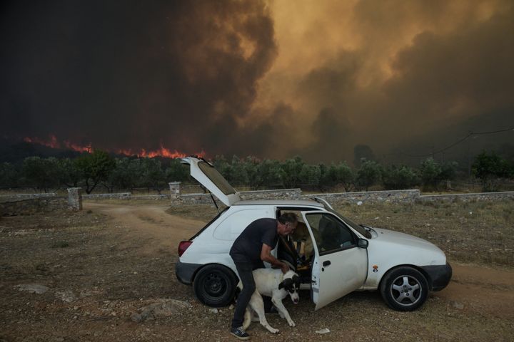 Ένας άντρας βάζει σκυλιά στο αυτοκίνητο για να απομακρυνθεί από τη φωτιά, στο χωριό Άγιος Χαράλαμπος, κοντά στην Αθήνα, στις 18 Ιουλίου 2023. Η Ευρώπη προετοιμάζεται για νέες υψηλές θερμοκρασίες στις 18 Ιουλίου 2023, κάτω από έναν ανελέητο καύσωνα. Οι υγειονομικές αρχές έχουν σημάνει συναγερμό από τη Βόρεια Αμερική μέχρι την Ευρώπη και την Ασία, καλώντας τους ανθρώπους να παραμείνουν ενυδατωμένοι και να προστατεύονται από τον ήλιο που καίει, σε μια έντονη υπενθύμιση των επιπτώσεων της υπερθέρμανσης του πλανήτη. (Photo by Aris MESSINIS / AFP) (Photo by ARIS MESSINIS/AFP via Getty Images)