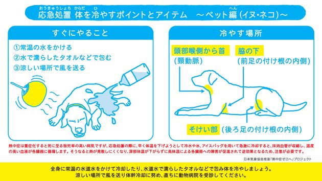 日本気象協会は日本動物愛護協会と協力し、2019年から「イヌ・ネコの熱中症予防予防対策マニュアル」を動物病院などで無料配布している