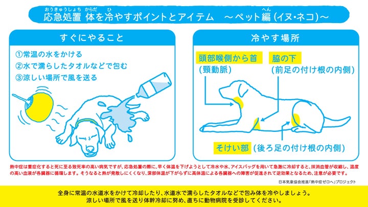 日本気象協会は日本動物愛護協会と協力し、2019年から「イヌ・ネコの熱中症予防予防対策マニュアル」を動物病院などで無料配布している