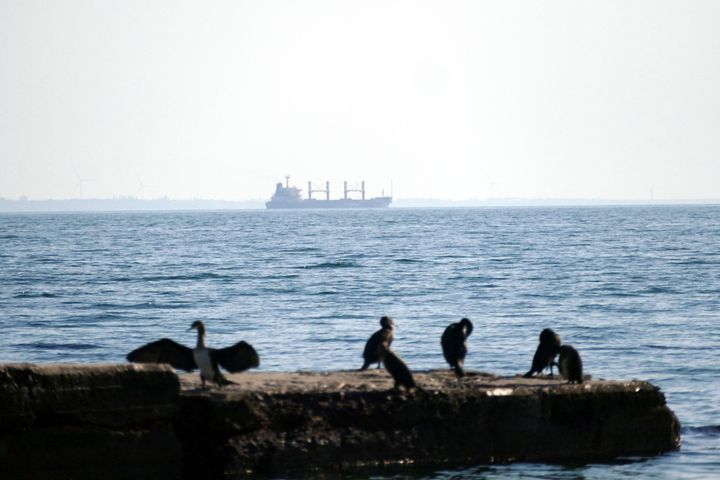 Τουρκικό bulk carrier ένα από τα τελευταία που βρέθηκαν στο λιμάνι της Οδησσού για να παραλάβουν σιτηρά (16 Ιουλίου 2023)