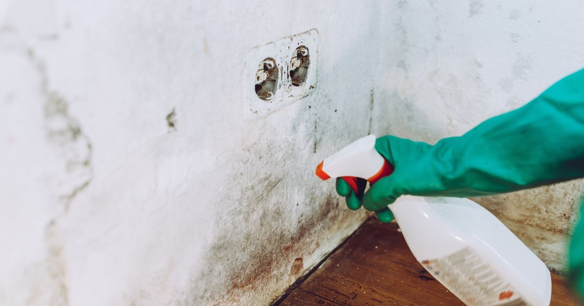 The Solution To Black Bathroom Mould Is Likely In Your Kitchen ...