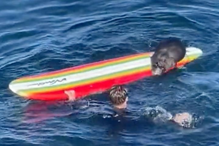 This image from video provided by TMX shows an encounter between a female otter and a surfer off the coast of Santa Cruz, California, on Sunday, July 9, 2023.