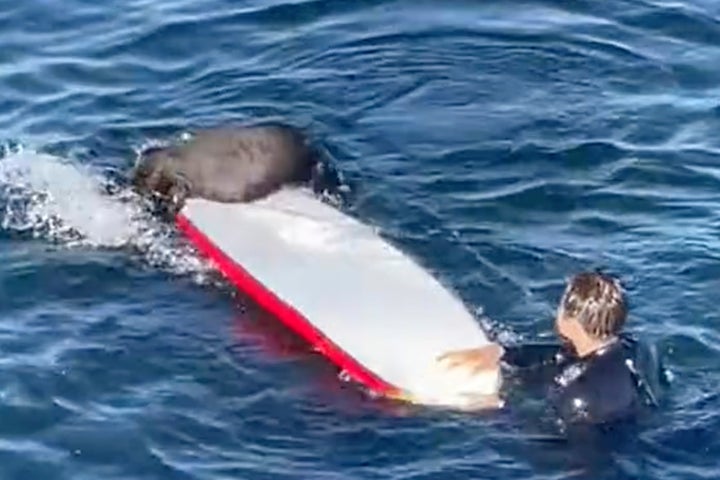 Federal wildlife officials said the otters' aggressive behavior is highly unusual, and the cause is unknown.