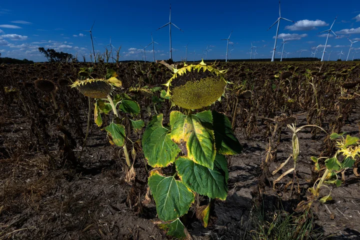 G20: Χωρίς συμφωνία για τον περιορισμό των ορυκτών καυσίμων