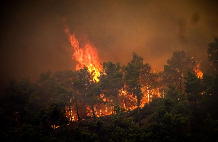 TOPSHOT - This photograph taken on July 22, 2023 shows pine trees burning in a wildfire on the Greek island of Rhodes. Coastguards lead more than 20 boats in an emergency evacuation to rescue people from the island where fire has been raging out of control for five days. (Photo by EUROKINISSI / Eurokinissi / AFP) (Photo by EUROKINISSI/Eurokinissi/AFP via Getty Images)