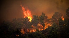 Raging Wildfire On Greek Island Of Rhodes Forcing Evacuations Raging Wildfire On Greek Island Of Rhodes Forcing Evacuations