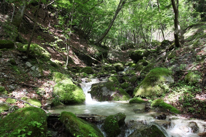 サントリー天然水の森がある、山梨県北杜市白州町の神宮川上流の様子（2011年）