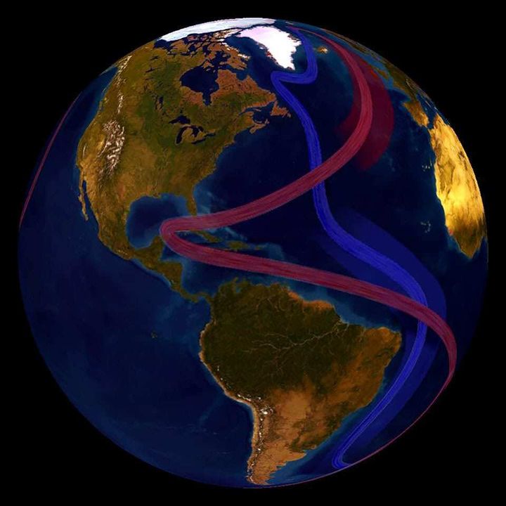 The global conveyor belt, shown in part here, circulates cool subsurface water and warm surface water throughout the world. The Atlantic Meridional Overturning Circulation, or AMOC, is part of this complex system of global ocean currents.