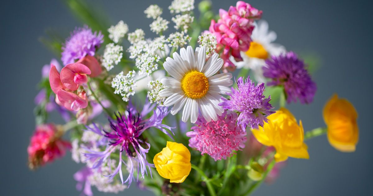 You Should Never Put Cut Flowers In These Two Areas Of Your Home ...