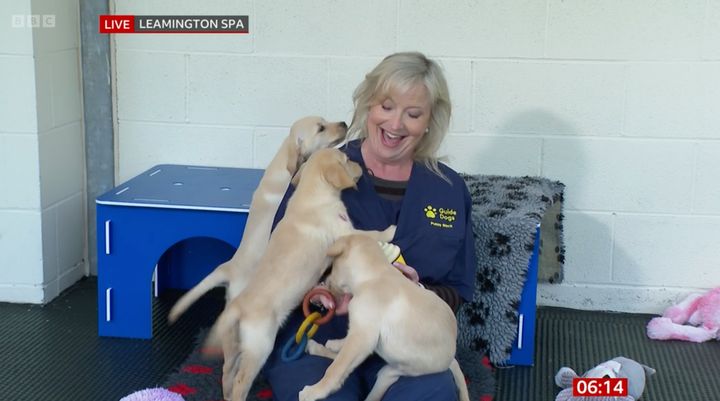 The weather presenter found herself under in a puppy pile-up 