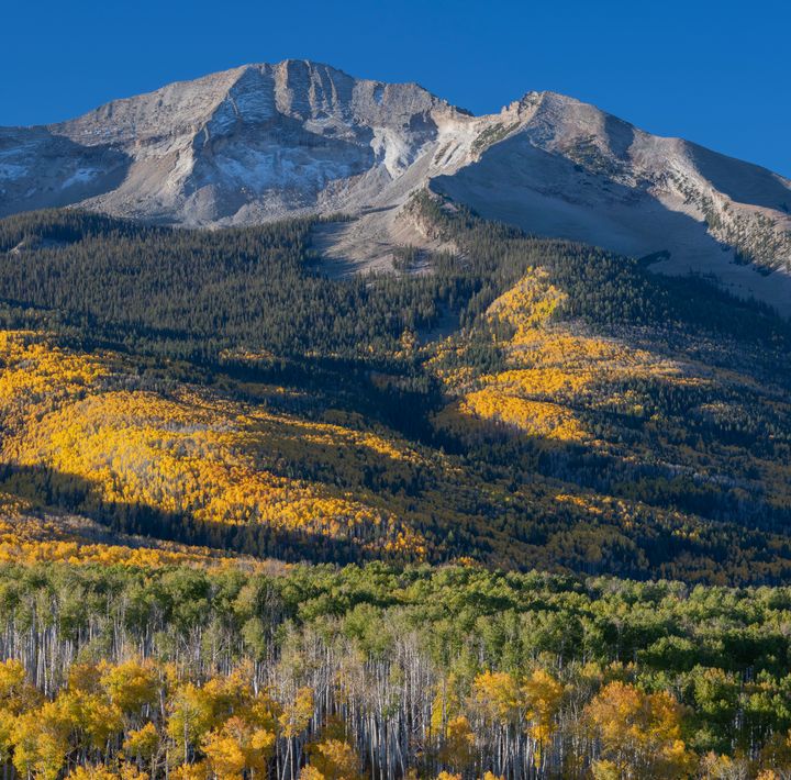 Family Found Dead At Colorado Campsite Planned To Live ‘Off Grid ...