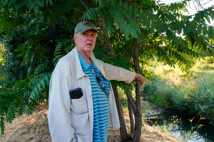 Rusty Cohn points to Napa Creek where he says he frequently sees beavers, Wednesday, July 19, 2023, in Napa, California.