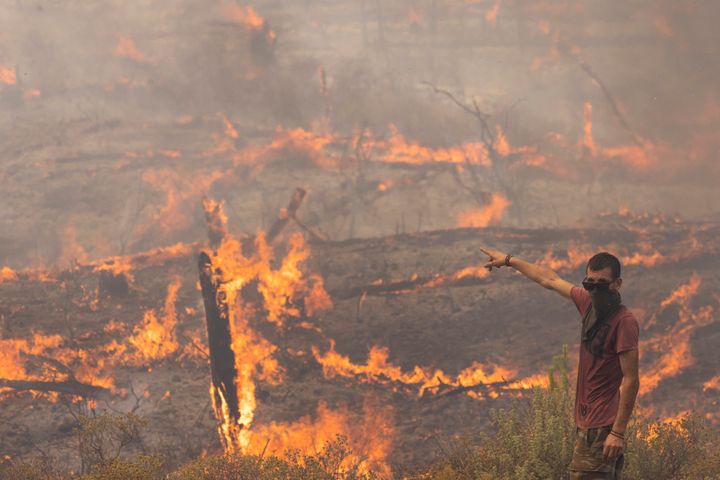Heatwaves and wildfires have rocked countries all around the globe in recent weeks.