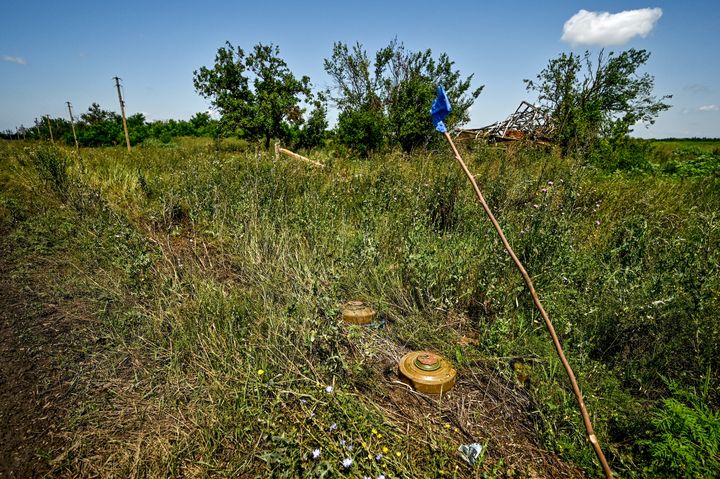 NOVODARIVKA, UKRAINE - JULY 21, 2023 - Landmines are seen in the grass in Novodarivka village, Zaporizhzhia Region, southeastern Ukraine. Situated on the border between Zaporizhzhia and Donetsk Regions, the settlement that had been occupied since March 2022 was liberated by the Ukrainian military on June 4, 2023.NO USE RUSSIA. NO USE BELARUS. (Photo by Ukrinform/NurPhoto via Getty Images)
