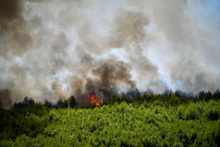 Μεγάλη πυρκαγιά που έσπασε σε τρία μέτωπα από το μεσημέρι στον Ν.Ηλείας.Στιγμιότυπα από τα Βαρβάσαινα και Παλαιοβαρβάσαινα, Σάββατο 29 Ιουλίου 2023 (ΓΙΑΝΝΗΣ ΣΠΥΡΟΥΝΗΣ/ ILIALIVE.GR)