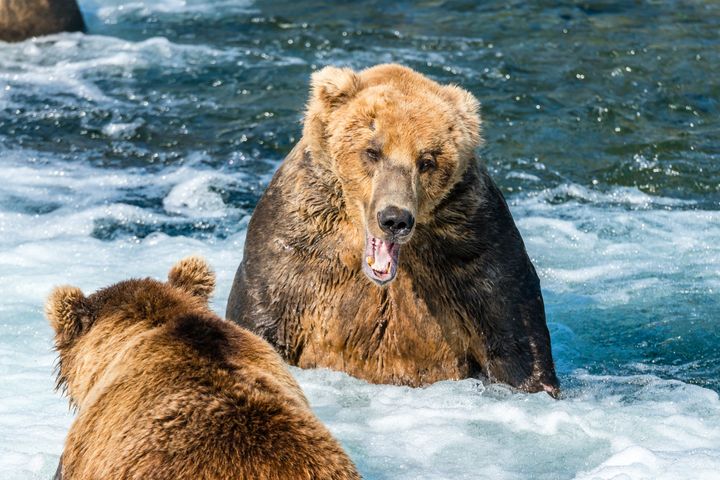 Thick -bottom men's rain bears men's high tube labor insurance