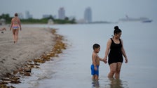 Ocean Water In Parts Of Florida Hits Hot Tub Temperatures
