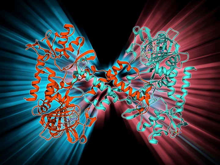 Human lysine-specific demethylase, molecular model. This enzyme removes methyl groups from lysine residues in histones (proteins that package DNA).